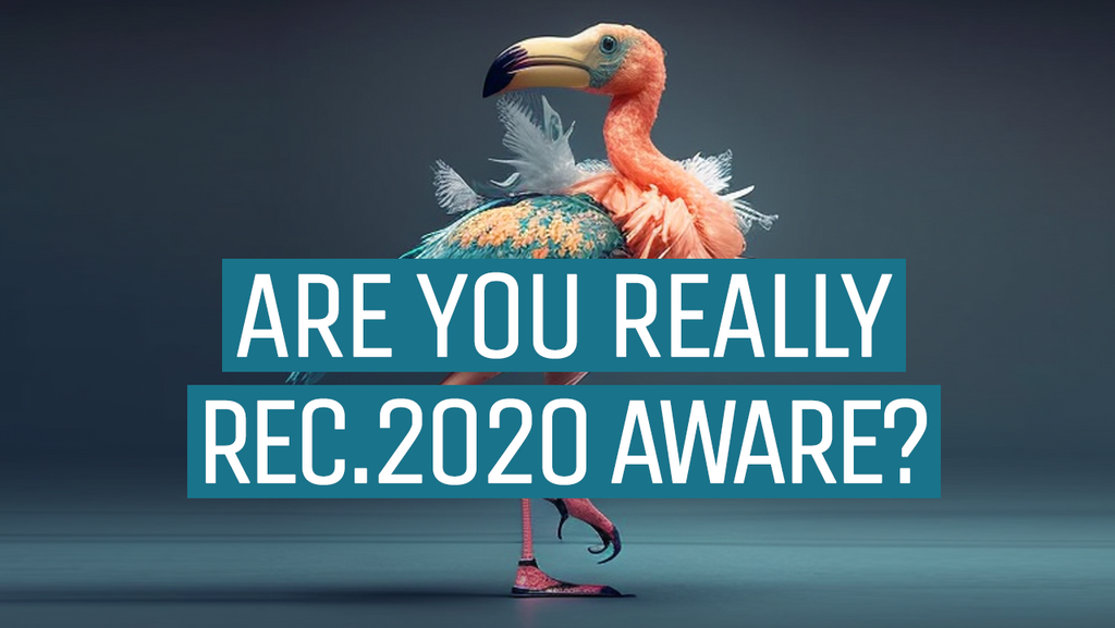 Are you really Rec. 2020 aware?