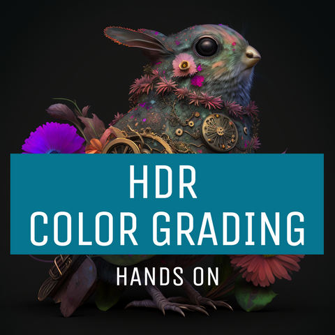 HDR COLOR GRADING HANDS ON