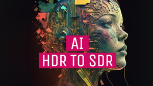 HDR to SDR with AI