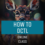 HOW TO DCTL (MIT UND OHNE AI)